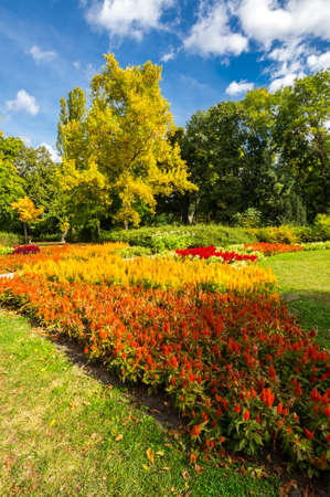 View of city park on Margaret island in Budapest, Hungaryの写真素材