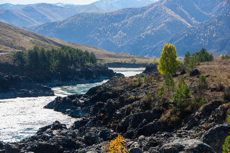 View of river Katun and Altay mountains in the autumn, Siberia, Russiaの写真素材