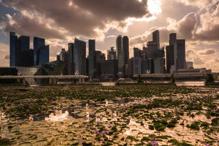 SINGAPORE - 19 FEBRUARY, 2020: Panoramic view of modern buildings in the Central Area in Singaporeのeditorial素材