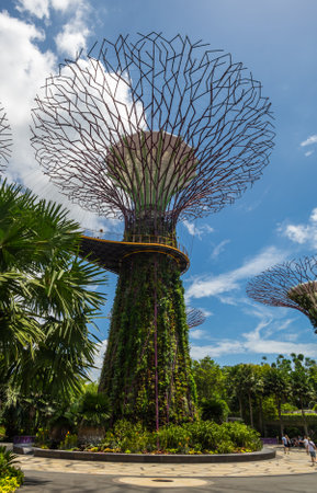 SINGAPORE - 19 FEBRUARY, 2020: Panoramic view of the Supertree Grove in Gardens by the Bay in Singaporeのeditorial素材