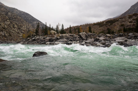 View of river Katun in Altay mountains in the autumn, Siberia, Russiaの写真素材