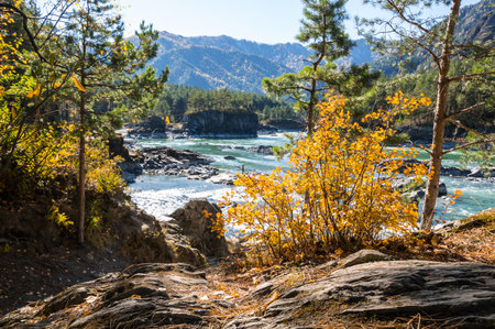 View of river Katun and Altay mountains in the autumn, Siberia, Russiaの写真素材