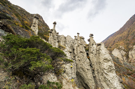 Stone mushrooms in the valley of the Chulyshman river in Altai, Siberia, Russiaの写真素材