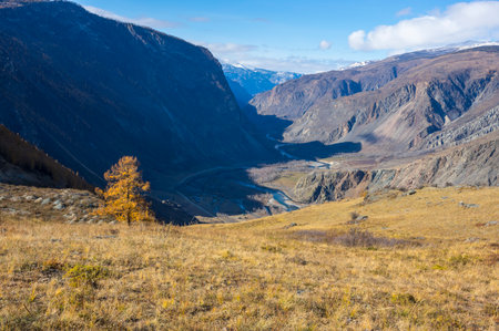 View of Chulyshman valley in Altay mountains in the autumn, Siberia, Russiaの写真素材
