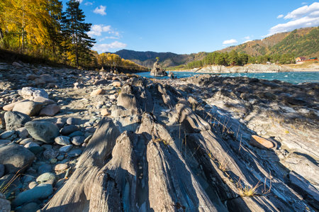 View of river Katun and Altay mountains in the autumn, Siberia, Russiaの写真素材