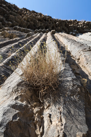 Basalt columns in Garni Gorge, carved out by the Goght River and called the Symphony of the Stones, Armeniaの写真素材