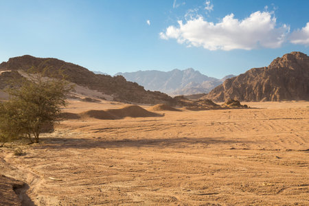 View of desert mountain landscape near Sharm El Sheikh resort, Egyptの写真素材