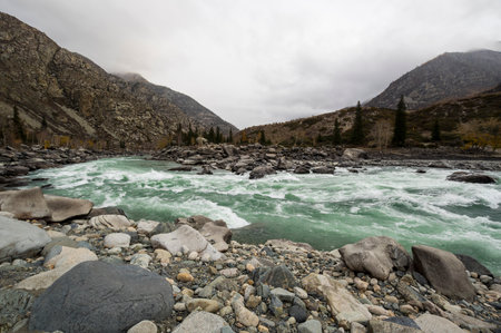 View of river Katun in Altay mountains in the autumn, Siberia, Russiaの写真素材