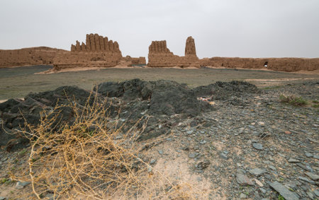 Ruins of ancient Dzhanpik-kala fortress in Karakalpakstan, Uzbekistanの写真素材