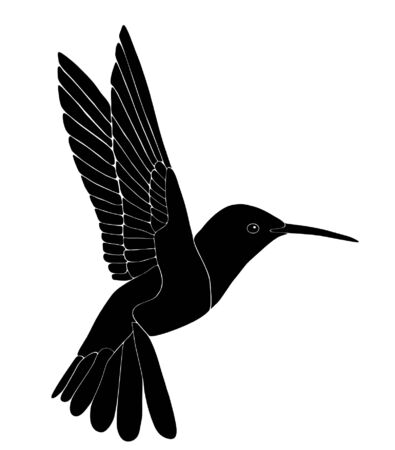 Hummingbirdのイラスト素材