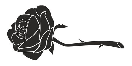 Rose as customizeable vector data in black and whiteのイラスト素材