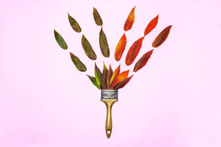 Paint brush with autumn colorful leavesの写真素材