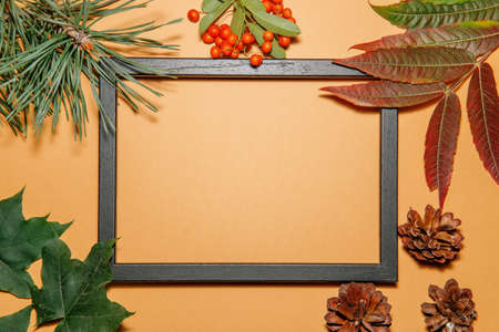 Frame made of autumn leavesの写真素材