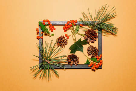 Picture frame filled with autumn plantsの写真素材