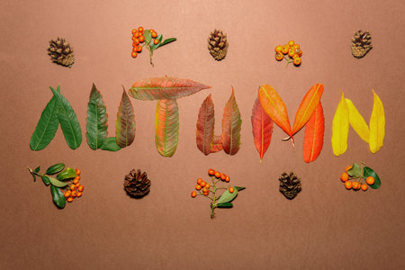 Autumn leaves in every color of autumn