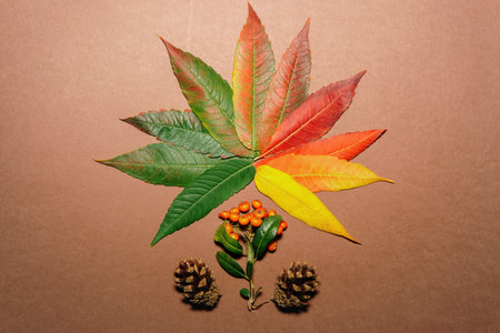 Autumn leaves in every color of autumn