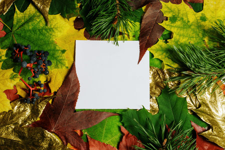 Colorful autumn layout. Creative autumn leaves autumn background with white square copy space