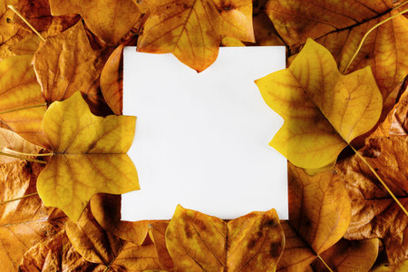 Creative autumn layout with square white paper note