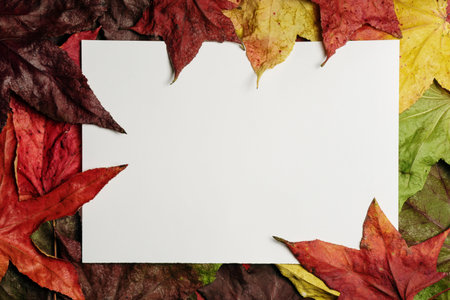 Creative autumn background with white copy space