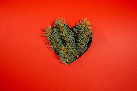 Creative layout with heart shaped cutout with Christmas tree branches. Nature Christmas backgroundの写真素材