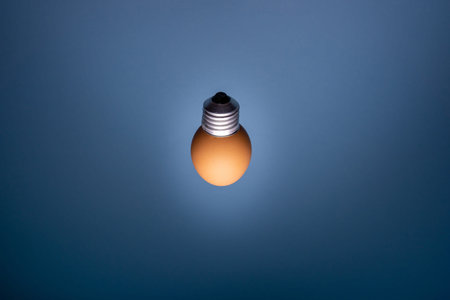 Egg lightbulb on deep black background. Creative idea concept