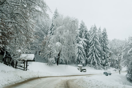 Winter sight on a mountain in West Serbiaの写真素材
