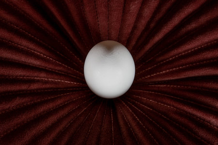 White egg on a dark red pillow. Creative Easter background