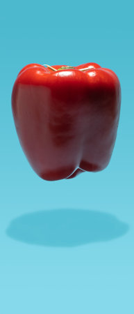 Floating red pepper on blue background. 9:21 aspect ratio