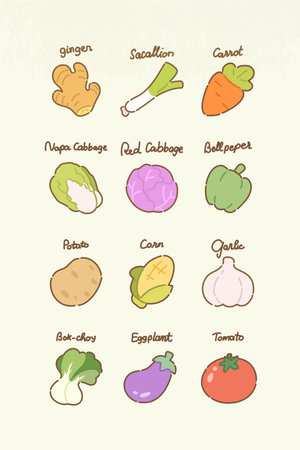 Vegetables set. Vector illustration. Cabbage, carrot, eggplant, potato, onion, cauliflower, beetroot, turnip, garlic, tomato, pepperのイラスト素材