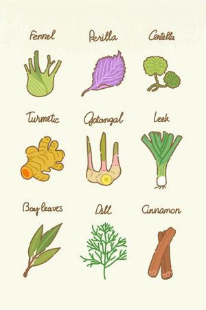 Set of vegetables and herbs. Hand drawn vector illustration. Vintage style.のイラスト素材