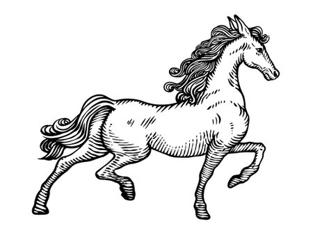 Horse running, engraving, ink, line art, vector illustrationのイラスト素材
