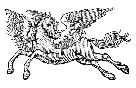 Horse with wings, vintage line drawing or engraving illustrationのイラスト素材