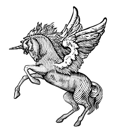 Heraldic winged Pegasus with wings, vintage line drawing or engraving illustrationのイラスト素材