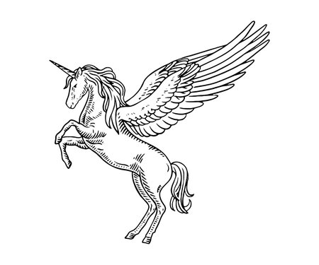 Unicorn with wings. Hand drawn vector illustration in sketch style.のイラスト素材