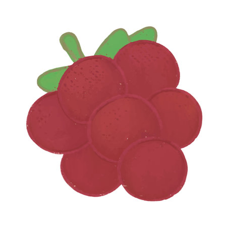Raspberry. Isolated on a white background. Vector illustration.のイラスト素材