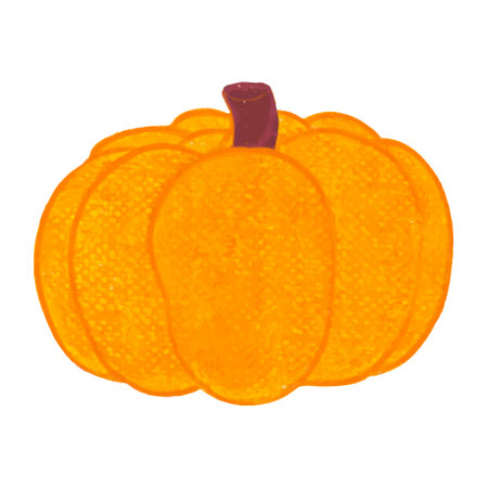 Pumpkin isolated on white background. Hand drawn vector illustration.のイラスト素材