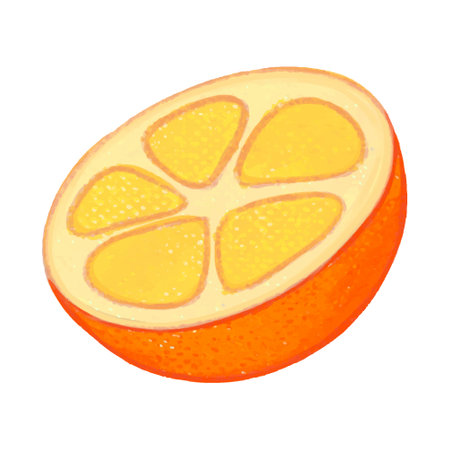 Sliced orange on white background. Vector illustration in watercolor style.のイラスト素材