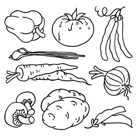 Vegetables set. Vector illustration of a hand drawn vegetables.のイラスト素材