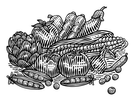 An image of a variety of vegetables, vintage line drawing or engraving illustration.のイラスト素材