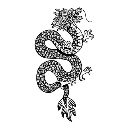 Dragon tattoo isolated on white background. Black and white vector illustration.のイラスト素材