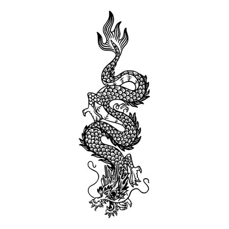 Dragon tattoo. Black and white vector illustration isolated on white background.のイラスト素材