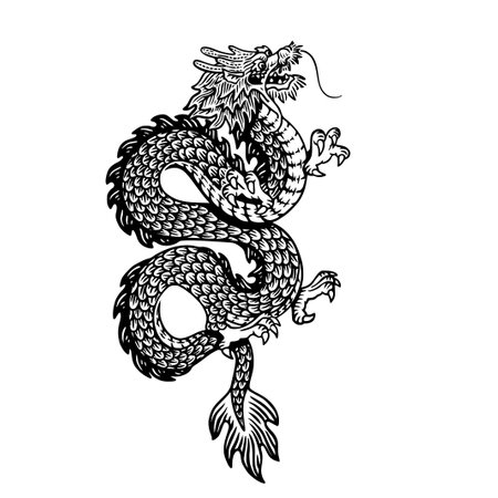 Dragon tattoo. Black and white vector illustration isolated on white background.のイラスト素材