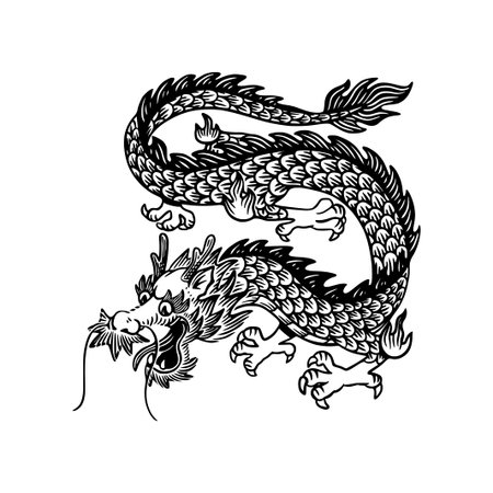 Chinese dragon. Vector illustration. Isolated on a white background.のイラスト素材