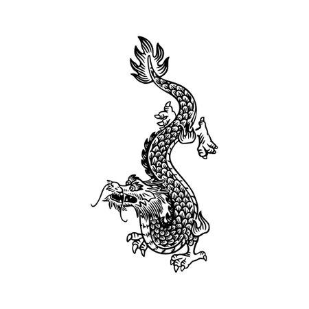 Dragon. Black and white vector illustration isolated on a white background.のイラスト素材