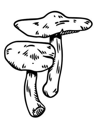 Hand drawn mushroom isolated on white background. Vector illustration in sketch style.のイラスト素材