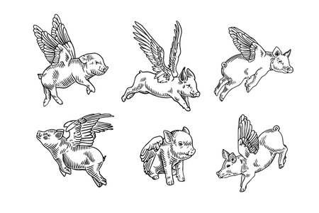 Pig icons set. Hand drawn sketch vector illustration isolated on white background.のイラスト素材