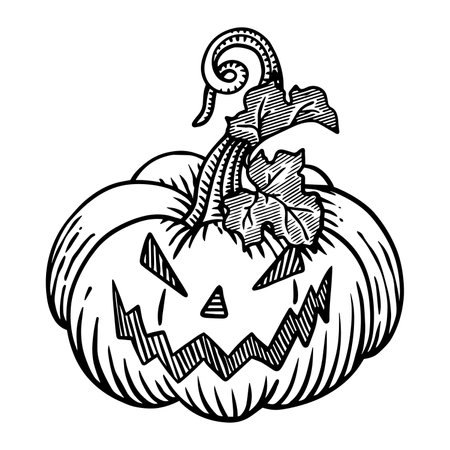 Hand drawn halloween pumpkin vector illustration isolated on white background.のイラスト素材