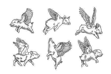 Set of hand drawn doodle sketch style flying pigs. Vector illustration.のイラスト素材