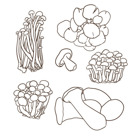 Set of mushrooms. Hand drawn vector illustration in doodle style.のイラスト素材