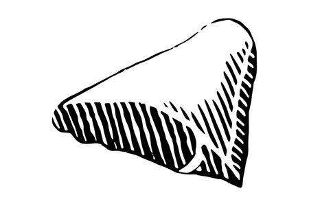Cuts of Pork. Vector illustration on white background.のイラスト素材